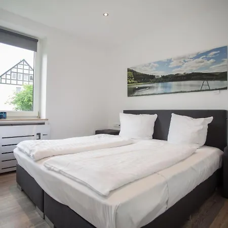 Nice Flat In Winterberg-silbach With Balcony Near The Forest