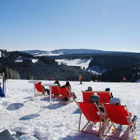 Nice Flat In Winterberg-silbach With Balcony Near The Forest Apartment *